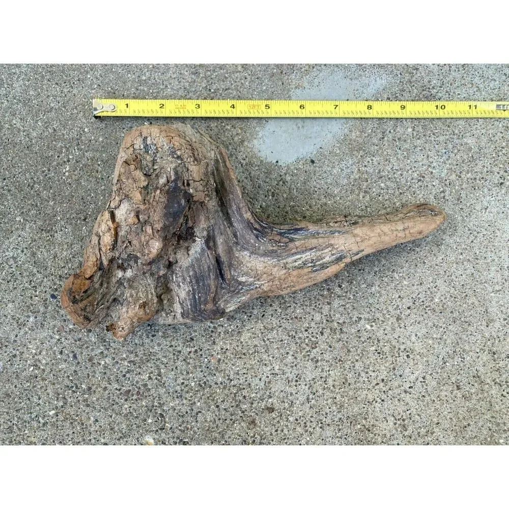 Ohio River Driftwood 10